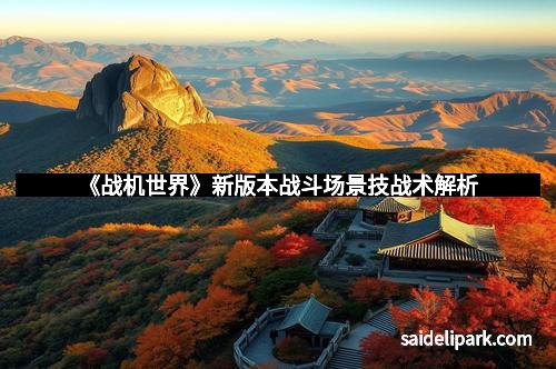 《战机世界》新版本战斗场景技战术解析